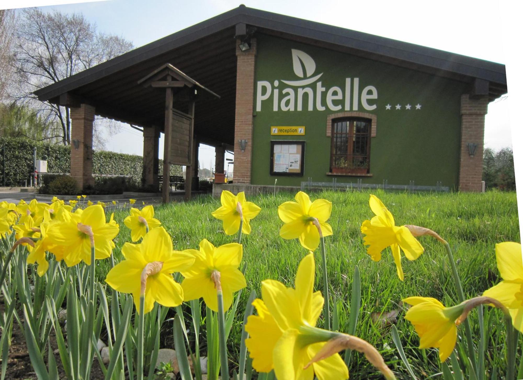 Camping Piantelle Moniga del Garda Ngoại thất bức ảnh
